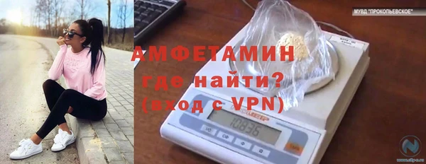 гидра Тында
