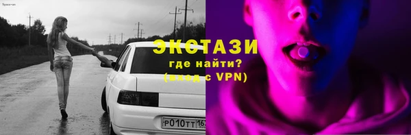 гидра Тында