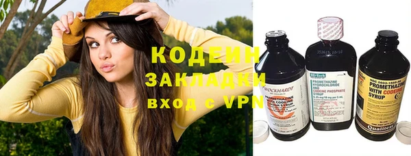 таблы Бородино