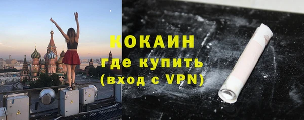 гидра Тында